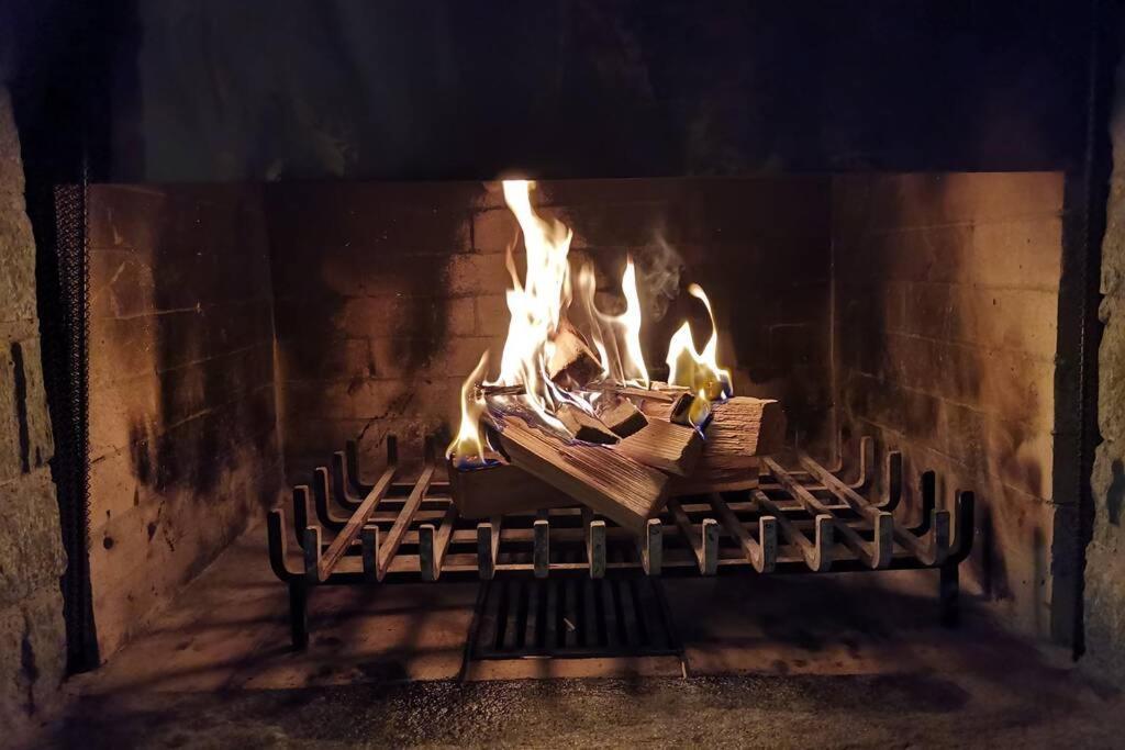 Ferienwohnung In Trin Εξωτερικό φωτογραφία